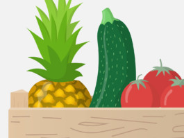 vector, illustration, graphic, vegetables, veggie, vegetarian, food, gemüse, kühlschrank, fridge, miriam, ganser, fruits, ananas, tomatoes, zuccini
