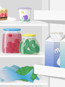 vektorillustration, miriam ganser, grafik, food, editorial, illustrator 