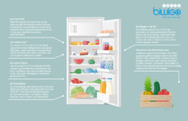 vektorillustration, vektorgrafik, graphic, editorial, illustration, vector, digital, refridgerator, miriam ganser, food, lebensmittel, kühlschrank, artikel, magazin, vegetables, fish, fruits 