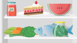 vektorillustration, vektorgrafik, grafik, editorial, illustration, vector, digital, refridgerator, miriam ganser, food, lebensmittel, kühlschrank, cake, melon, fish 