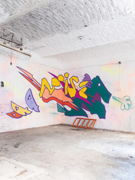 graffiti by miriam ganser 